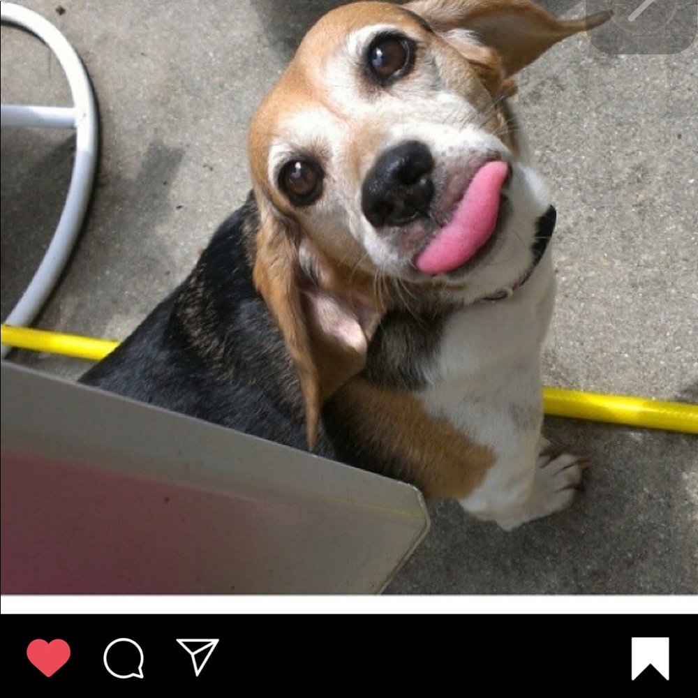 Meet your Posher, Kristie